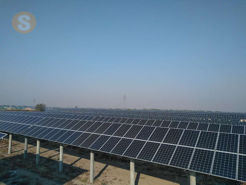 天津宁欣鱼光互补项目30MW