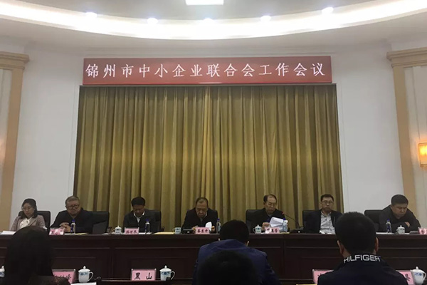 我公司参加全市中小企业联合会工作会议并做发言