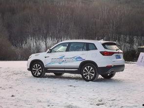 国产suv冬季雪地视频,国产SUV冬季性能大考验